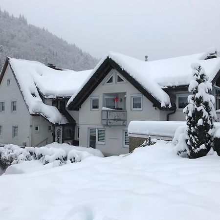 Ferienwohnung Ella, 95Qm, Terrasse Todtnau Bagian luar foto
