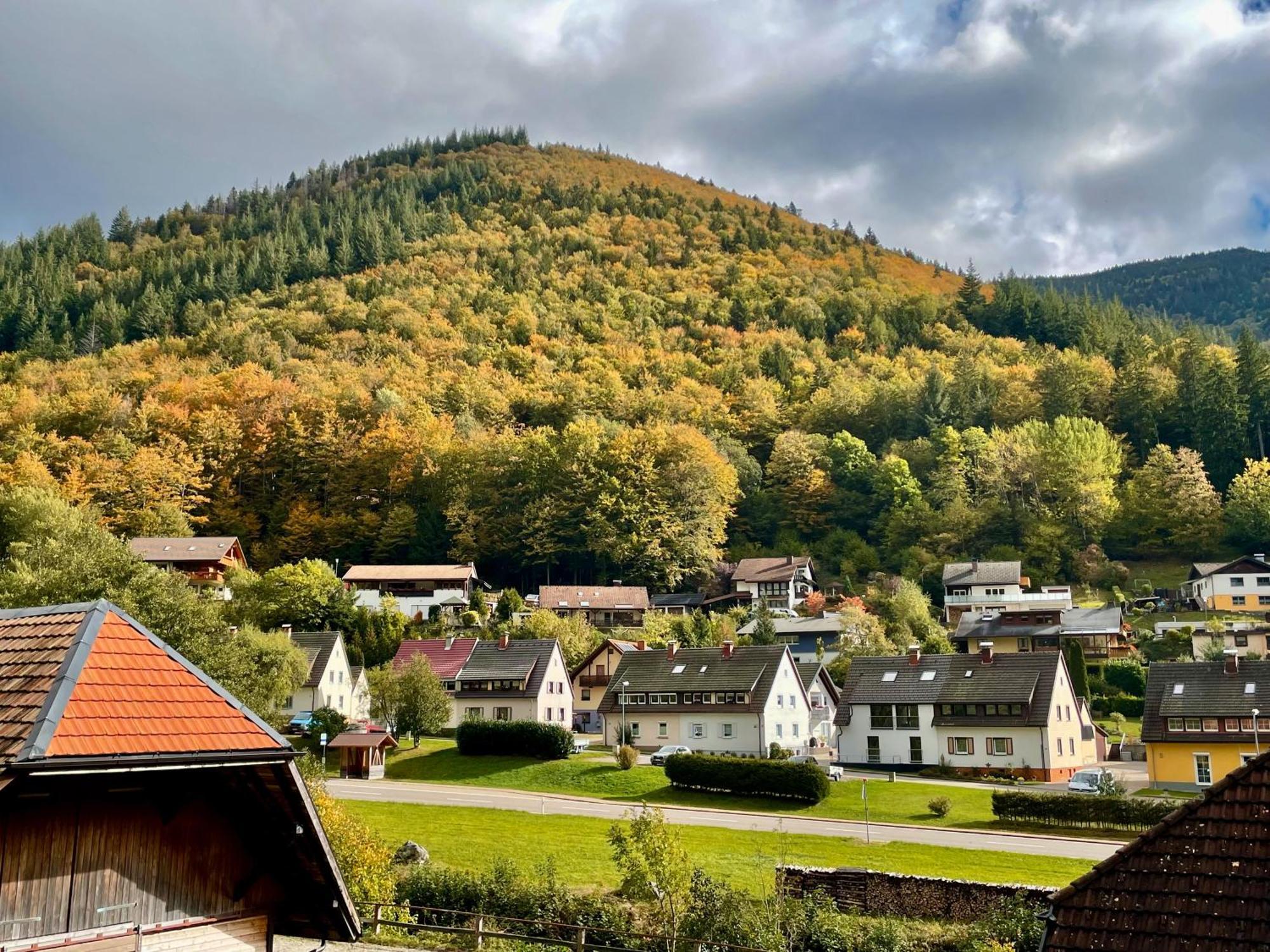Ferienwohnung Ella, 95Qm, Terrasse Todtnau Bagian luar foto