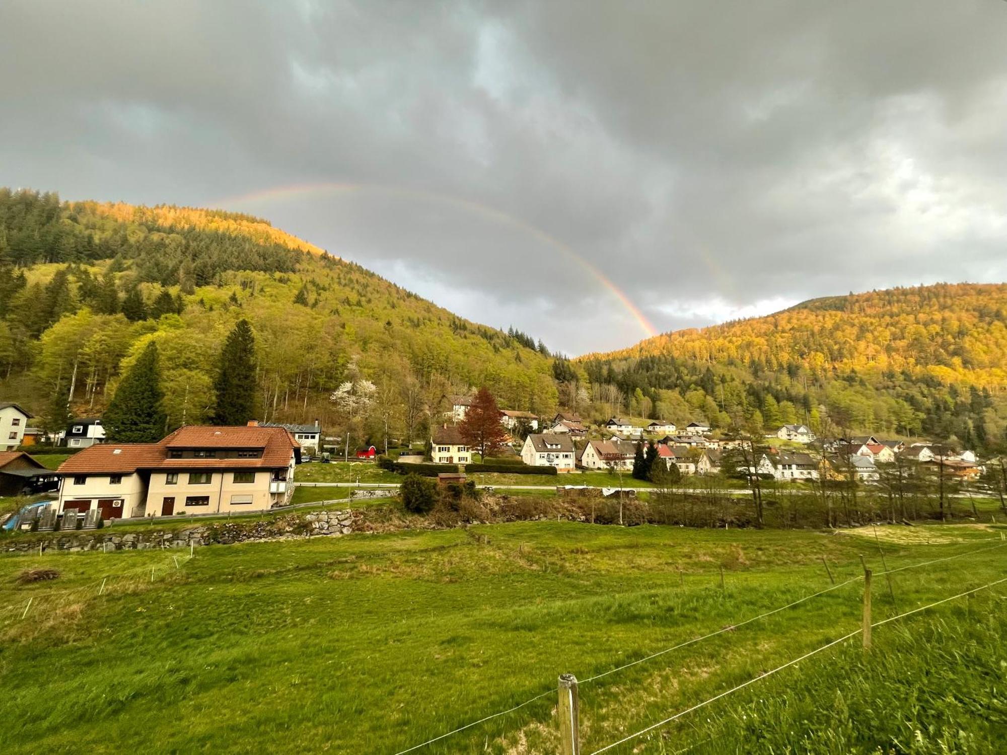 Ferienwohnung Ella, 95Qm, Terrasse Todtnau Bagian luar foto
