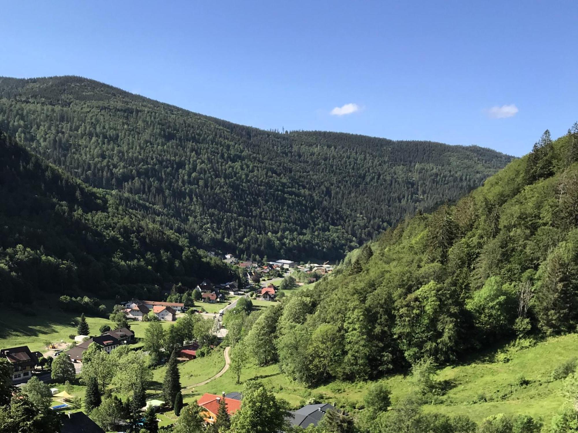 Ferienwohnung Ella, 95Qm, Terrasse Todtnau Bagian luar foto